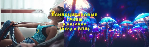 молекула духа Алексеевка