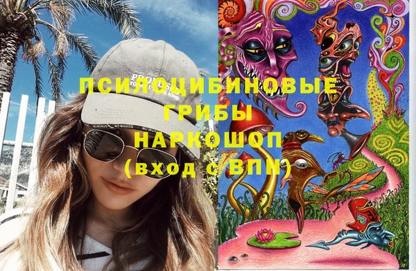 spice Алзамай